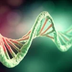 Macro lens, 85mm, immagine concettuale di una doppia elica di DNA astratta e luminosa che si trasforma, con alcune basi che cambiano colore da rosso (errato) a verde (corretto), simboleggiando l'editing genetico, high detail, precise focusing, controlled lighting con un leggero effetto bokeh sullo sfondo.
