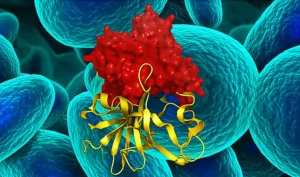 Illustrazione concettuale fotorealistica che mostra una molecola di farmaco (inibitore MSID000191) che si lega precisamente al sito attivo tridimensionale dell'enzima batterico DdlA, bloccandone la funzione catalitica. Sullo sfondo, cellule batteriche stilizzate di Pseudomonas aeruginosa. Stile scientifico moderno, alta definizione, colori vivaci per evidenziare l'interazione molecolare.