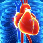 Visualizzazione 3D fotorealistica del cuore umano con depositi di amiloide brillanti (giallo/arancio) sulla superficie, collegato tramite linee luminose stilizzate ad altri organi come cervello, polmoni, milza e midollo osseo in background. Obiettivo macro 80mm, alta definizione, sfondo medico astratto blu scuro, illuminazione drammatica che enfatizza il cuore e le connessioni.