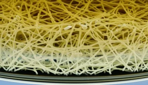 Visualizzazione fotorealistica di un bioreattore in funzione, con batteri che proliferano su scaffold di nanofibre di gelatina e collagene. Macro lens, 100mm, illuminazione controllata che evidenzia le colonie batteriche e la struttura tridimensionale dello scaffold, con un focus preciso sui dettagli microscopici e un leggero effetto di profondità di campo.