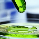 Immagine fotorealistica di una goccia di estratto proteico verdastro derivato dall'alga Galdieria sulphuraria che cade in una piastra di Petri contenente cellule di mammifero in coltura, vista macro con obiettivo da 90mm, alta definizione, illuminazione laterale per enfatizzare la texture della goccia e la trasparenza delle cellule, sfondo sfocato di un laboratorio high-tech.