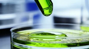 Immagine fotorealistica di una goccia di estratto proteico verdastro derivato dall'alga Galdieria sulphuraria che cade in una piastra di Petri contenente cellule di mammifero in coltura, vista macro con obiettivo da 90mm, alta definizione, illuminazione laterale per enfatizzare la texture della goccia e la trasparenza delle cellule, sfondo sfocato di un laboratorio high-tech.