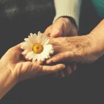 Prime Lens, 50mm, un primo piano della mano di una persona anziana con la demenza che tocca delicatamente una margherita vivace e stilizzata (che rappresenta COG-D) tenuta da una mano più giovane del caregiver. L'illuminazione morbida, calda, la profondità di campo, la cura, la comprensione e la connessione. Duotone, giallo caldo e grigio morbido.