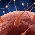 Immagine fotorealistica di cellule microgliali stilizzate che 'potano' delicatamente delle sinapsi luminose in un ambiente cerebrale astratto, obiettivo macro 90mm, illuminazione drammatica per evidenziare l'interazione, alta definizione dei dettagli cellulari.