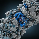Prime lens, 35mm, depth of field, duotone blu e grigio, rappresentazione artistica e scientifica di molecole di digossina che interagiscono con la proteina Na+/K+-ATPasi α3 sulla membrana di una cellula tumorale circolante, inducendone l'anoikis.