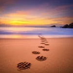 A compelling wide-angle, 10mm landscape shot of a Sri Lankan beach at sunset, with faint turtle tracks leading to the ocean, symbolizing hope and the ongoing conservation challenge. Long exposure to smooth the water and capture the vibrant sky colors. The image should evoke a sense of urgency and beauty related to sea turtle conservation.
