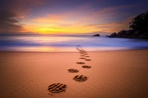 A compelling wide-angle, 10mm landscape shot of a Sri Lankan beach at sunset, with faint turtle tracks leading to the ocean, symbolizing hope and the ongoing conservation challenge. Long exposure to smooth the water and capture the vibrant sky colors. The image should evoke a sense of urgency and beauty related to sea turtle conservation.