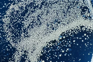 Fotografia macro di particelle galleggianti del fotocatalizzatore ibrido TiO2 mescolate con microplastiche sulla superficie di acqua limpida, illuminate da una luce solare intensa. Obiettivo macro 90mm, alta definizione, illuminazione controllata per evidenziare la texture del catalizzatore e della plastica.
