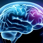 Illustrazione concettuale del cervello umano con aree illuminate che simboleggiano la riduzione della neuroinfiammazione e il recupero cognitivo grazie all'inibizione di NLRP3, obiettivo 35mm, duotone blu e argento per un effetto scientifico e speranzoso, profondità di campo.