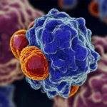 Immagine concettuale astratta di un recettore oppioide µ (µOR) sulla membrana cellulare che interagisce con molecole di Carfentanil (rosse, molto efficaci) e Naltrexone (blu, antagonista efficace), simboleggiando la sfida farmacologica. Stile fotorealistico, macro lens 70mm, high detail, precise focusing, controlled dramatic lighting, sfondo scuro sfocato.