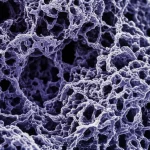 Close-up macro shot of porous nanostructures, high detail, precise focusing, controlled lighting, representing the cobalt-doped ZnFe2O4 material.