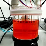 Fotografia di un bioreattore da laboratorio in funzione, il vetro trasparente mostra la biomassa anammox di colore rosso-arancio sospesa nel liquido. Tubi sottili e sensori sono collegati al reattore. Illuminazione da laboratorio chiara e definita. Prime lens 35mm, depth of field, messa a fuoco sul contenuto del reattore.