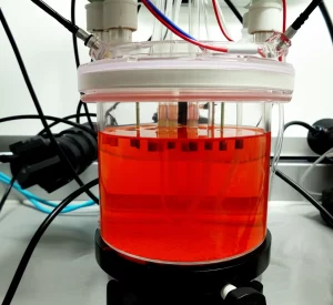 Fotografia di un bioreattore da laboratorio in funzione, il vetro trasparente mostra la biomassa anammox di colore rosso-arancio sospesa nel liquido. Tubi sottili e sensori sono collegati al reattore. Illuminazione da laboratorio chiara e definita. Prime lens 35mm, depth of field, messa a fuoco sul contenuto del reattore.