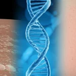 Immagine concettuale che mostra cellule della pelle con psoriasi da un lato e una rappresentazione astratta di cellule sane dall'altro, separate da una doppia elica di DNA luminosa. Obiettivo macro 100mm, illuminazione da studio controllata, alta definizione, per simboleggiare l'indagine genetica sul legame tra psoriasi e salute.