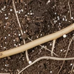 Fotografia macro ad alto dettaglio di un campione di terreno agricolo scuro e fertile in sezione trasversale, con visibili particelle biancastre del composito ATP-OS mescolate. Alcune radici sottili di piante crescono attraverso il terreno. Obiettivo macro 105mm, illuminazione laterale controllata per evidenziare la texture, messa a fuoco precisa sulla struttura del suolo e del composito.