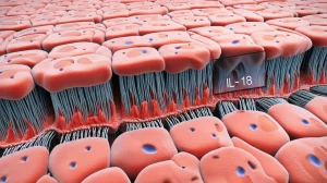 Macro lens, 100mm, high detail, precise focusing, controlled lighting, conceptual illustration of the intestinal barrier showing epithelial cells with tight junctions, featuring symbolic representations of GSDMD pores on the cell surface and Caspase-4 interacting with IL-18 inside.