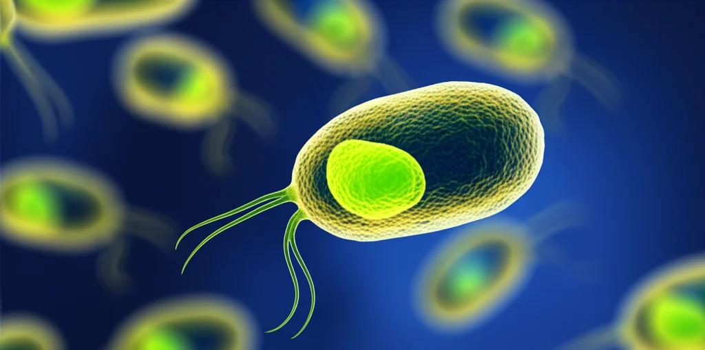 Un'immagine fotorealistica al microscopio di cellule di Trypanosoma brucei, con un focus su una singola cellula. La proteina TbCDA-like è evidenziata con una tecnica di immunofluorescenza in un colore brillante (es. verde o giallo) all'interno del citosol della cellula. Lo sfondo mostra altre cellule leggermente sfocate per creare profondità di campo. Dettagli come il flagello e il nucleo del parassita sono visibili. Obiettivo prime 35mm, duotono blu e giallo per un contrasto scientifico ed estetico.