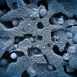 Visualizzazione artistica 3D di una struttura nanocomposita porosa composta da nanoparticelle sferiche di ossido di indio (In₂O₃) e nanopiattaforme di ferrite di zinco (ZnFe₂O₄), con molecole d'acqua (H₂O) che si adsorbono sulla superficie e all'interno dei pori. Obiettivo macro 60mm, illuminazione diffusa per evidenziare la tridimensionalità e la porosità, alta definizione dei dettagli nanometrici, sfondo astratto high-tech blu e grigio duotone.