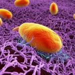 Visualizzazione artistica 3D di cellule tumorali del carcinoma esofageo e del microambiente immunitario, con focus su creatina e proteina HK3. Obiettivo macro 100mm, illuminazione drammatica per evidenziare i dettagli molecolari, alta definizione.