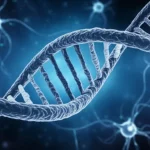 Concetto astratto di neurosviluppo e ricerca genetica, con filamenti di DNA stilizzati che si intrecciano con neuroni luminosi su uno sfondo scuro. Macro lens, 100mm, high detail, precise focusing, illuminazione drammatica e suggestiva.