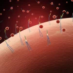 Immagine concettuale, obiettivo macro da 100mm, alta definizione, illuminazione controllata, che mostra piccole vescicole extracellulari (sEV) di colore brillante che interagiscono con cellule retiniche stilizzate su uno sfondo scuro che simboleggia una retina danneggiata. Le sEV rilasciano microRNA (rappresentati come piccole eliche luminose) verso le cellule, simboleggiando la riparazione e la speranza per la retinopatia diabetica.