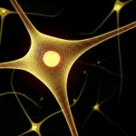 Photorealistic macro lens shot of glowing neurons and microglial cells in a brain tissue sample, 60mm, high detail, precise focusing, controlled lighting.