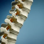 Close-up, macro lens shot, 60mm, of a model human spine, with a subtle, artistic curve highlighted by controlled lighting. The background is a soft, blurred duotone of calming blue and grey, suggesting a medical or health context. High detail on the vertebrae.