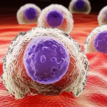 Microscopic view of immune cells interacting with cancer cells, macro lens, 105mm, high detail, precise focusing.