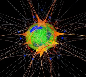 Immagine fotorealistica di una rete neurale cerebellare con cellule di Golgi in primo piano, che mostrano la complessità delle connessioni dendritiche apicali e basali. Segnali luminosi stilizzati indicano l'attività sinaptica e la plasticità STDP. Obiettivo prime, 35mm, con profondità di campo per isolare la cellula di Golgi, illuminazione drammatica che enfatizza le strutture neurali, texture dettagliata delle membrane cellulari.
