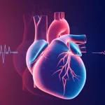 Visualizzazione astratta e fotorealistica di un cuore umano stilizzato con onde sonore di ecocardiogramma sovrapposte, colori caldi e freddi duotone (rosso e blu), prime lens 50mm, profondità di campo.