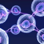Visualizzazione artistica e dettagliata di cellule di cancro al seno triplo negativo (TNBC) con in evidenza i super-enhancer (regioni luminose sul DNA) che ne guidano la crescita. Prime lens, 35mm, con colori duotone blu e viola per un effetto scientifico ma accattivante, profondità di campo per mettere a fuoco le interazioni molecolari chiave.