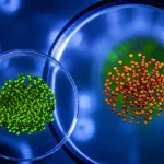 Immagine fotorealistica di due campioni di metallogel semiconduttori, uno a base di cadmio (Cd-AIA) e uno a base di mercurio (Hg-AIA), illuminati in un laboratorio high-tech, con dettagli microstrutturali visibili, lente macro 80mm, alta definizione, illuminazione da studio controllata, sfondo leggermente sfocato per enfatizzare i campioni.