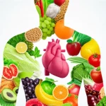 Un'immagine concettuale che mostra una silhouette di un cuore umano sano sovrapposta a un vibrante e diversificato ecosistema di microbi intestinali colorati, con cibi sani come frutta, verdura e cereali integrali che fluttuano intorno, simboleggiando la connessione tra dieta, microbiota e salute cardiovascolare. Obiettivo macro 100mm per i dettagli dei microbi e del cibo, illuminazione artistica e controllata per evidenziare la connessione.