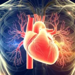 Visualizzazione artistica del concetto di salute integrata: cuore, polmoni e cervello interconnessi, simboleggianti i 9 Pilastri Cruciali (LC9). Stile fotorealistico con obiettivo 50mm, profondità di campo accentuata, illuminazione soffusa e calda.