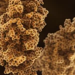 Close-up e fotografie macro altamente dettagliate di catene peptidiche che si legano in modo complesso alla superficie di una nanoparticella d'oro, lenti macro da 105 mm, messa a fuoco precisa, illuminazione drammatica controllata, evidenziando le complesse interazioni molecolari sulla nanoscala.