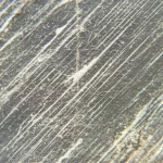 Primo piano dettagliato di una sezione trasversale di materiale cementizio carbonatato, macro lens 100mm, alta definizione, illuminazione laterale per esaltare la diversa tessitura tra la zona carbonatata e quella integra, con visibili micro-fratture e precipitati cristallini.