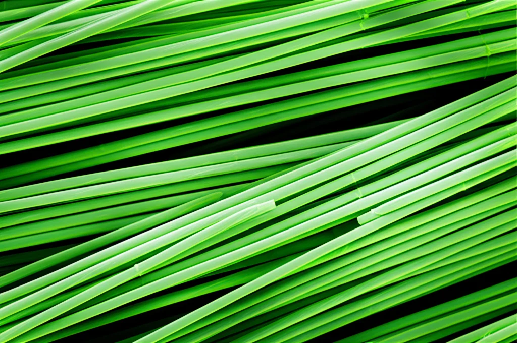 Visualizzazione 3D fotorealistica di microtubuli cellulari, alcuni dei quali mostrano marcatori di acetilazione (evidenziati con un leggero bagliore verde), obiettivo macro 80mm, alta definizione, con focus preciso sui dettagli strutturali dei tubuli. Lo sfondo è scuro per far risaltare i microtubuli. Profondità di campo per mettere a fuoco una sezione specifica.