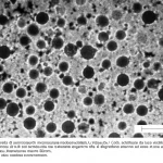 Macro fotografia di nanoparticelle magnetiche NiFe₂O₄/CeO₂ scintillanti, illuminate da luce visibile, con molecole di colorante organico che si degradano attorno ad esse in una soluzione acquosa, alta definizione, illuminazione controllata, obiettivo macro 60mm.