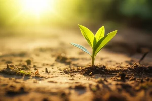 Primo piano macro di una giovane pianta verde che spunta da un terreno arido, illuminata da un raggio di sole caldo, simboleggiando la speranza e la crescita portate dall'energia sostenibile nei paesi in via di sviluppo. Obiettivo macro 100mm, illuminazione controllata, alta definizione.