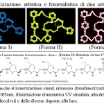 Visualizzazione artistica e fotorealistica di due strutture cristalline polimorfiche (Forma I e Forma II) illuminate da luce UV. La Forma I mostra molecole che cambiano forma (isomerizzazione cis-trans), mentre la Forma II mostra molecole che si uniscono (fotodimerizzazione [2+2]). Lente macro 105mm, illuminazione drammatica UV simulata, alta definizione dei dettagli molecolari e delle diverse risposte alla luce.