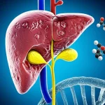 Immagine concettuale di un fegato umano parzialmente sezionato che mostra segni di epatite e cirrosi, con molecole di grelina stilizzate che interagiscono con le cellule epatiche. Sullo sfondo, una doppia elica di DNA a simboleggiare i polimorfismi genetici. Illuminazione drammatica con contrasti, obiettivo macro 60mm per dettagli precisi sul fegato e sulle molecole.