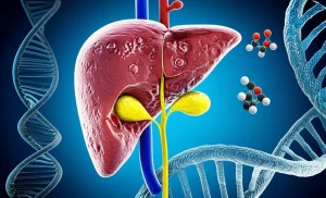 Immagine concettuale di un fegato umano parzialmente sezionato che mostra segni di epatite e cirrosi, con molecole di grelina stilizzate che interagiscono con le cellule epatiche. Sullo sfondo, una doppia elica di DNA a simboleggiare i polimorfismi genetici. Illuminazione drammatica con contrasti, obiettivo macro 60mm per dettagli precisi sul fegato e sulle molecole.