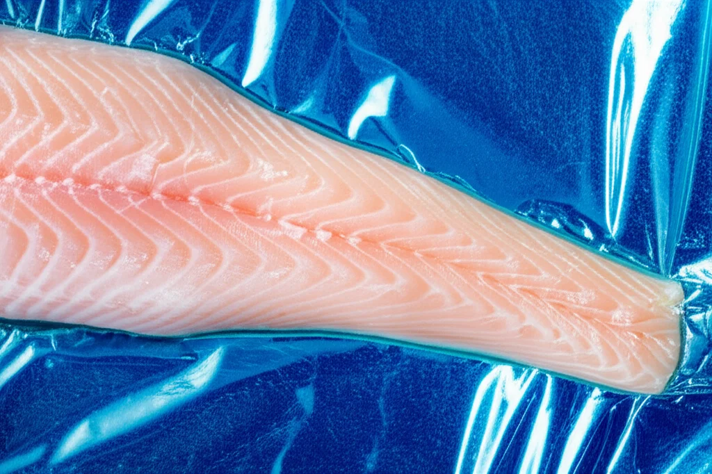 Immagine macro fotorealistica di un filetto di pesce fresco avvolto in un innovativo packaging biodegradabile bio-sensore a base di ficocianina bluastra, con dettagli precisi sulla texture del film e del pesce, illuminazione controllata da studio, obiettivo macro 85mm, alta definizione.