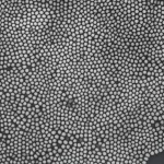 Fotografia macro, obiettivo 100mm, di un primo piano di particelle di ferro a valenza zero su microscala sospese in acqua reflua, con minuscole bolle di ozono che interagiscono attivamente con le superfici ferrose, creando una scena dinamica di degradazione degli inquinanti. Alta definizione, messa a fuoco precisa, illuminazione controllata per evidenziare le texture e le reazioni chimiche in corso.