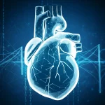 Primo piano di un cuore umano digitale stilizzato con un focus luminoso sull'auricola atriale sinistra, circondato da linee di dati e codice binario. Sfondo tecnologico blu scuro. Obiettivo prime 35mm, profondità di campo, duotone blu e argento.