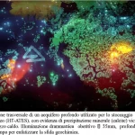 Sezione trasversale di un acquifero profondo utilizzato per lo stoccaggio termico (HT-ATES), con evidenza di precipitazione minerale (calcite) vicino al pozzo caldo. Illuminazione drammatica, obiettivo 35mm, profondità di campo per enfatizzare la sfida geochimica.