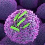 Visualizzazione scientifica fotorealistica del ruolo della proteina TMCO1 (struttura molecolare stilizzata e luminosa) nell'influenzare la crescita e la migrazione delle cellule del carcinoma a cellule squamose della testa e del collo (HNSCC - cellule scure e aggregate), con sfondo astratto che suggerisce interazioni cellulari complesse e il microambiente tumorale, obiettivo prime 35mm, profondità di campo accentuata per isolare la proteina e le cellule.