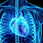 Immagine concettuale high-tech di un cuore umano digitale con arterie coronarie illuminate, dove algoritmi di intelligenza artificiale evidenziano con precisione le calcificazioni. Macro lens, 85mm, high detail, precise focusing, controlled lighting, sfondo scuro con linee di codice binarie sfocate per profondità di campo, che simboleggia l'analisi dei dati.