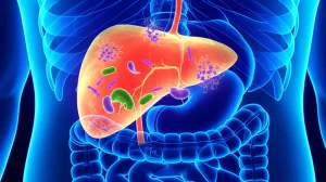 Visualizzazione concettuale del fegato umano stilizzato connesso all'intestino, con batteri del microbiota che influenzano le cellule epatiche e molecole lipidiche. Prime lens, 35mm, depth of field, duotone blu e arancione per rappresentare salute e infiammazione.