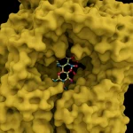 Detailed 3D rendering of the LpxC protein structure with a potential inhibitor molecule docked in its active site, macro lens, 60mm, high detail, precise focusing.